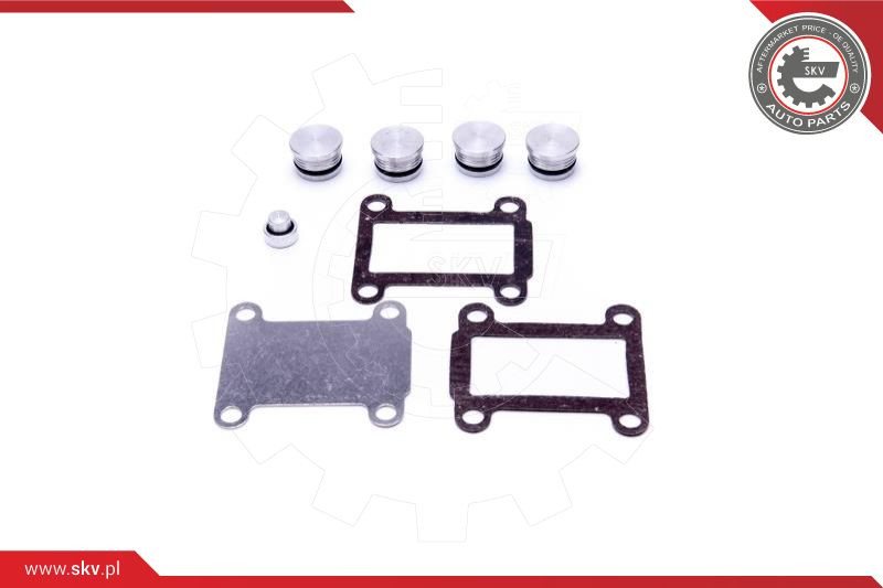 ESEN SKV Reparatursatz, Saugrohrmodul