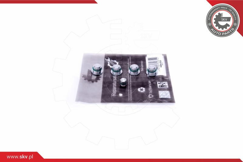 ESEN SKV Reparatursatz, Saugrohrmodul