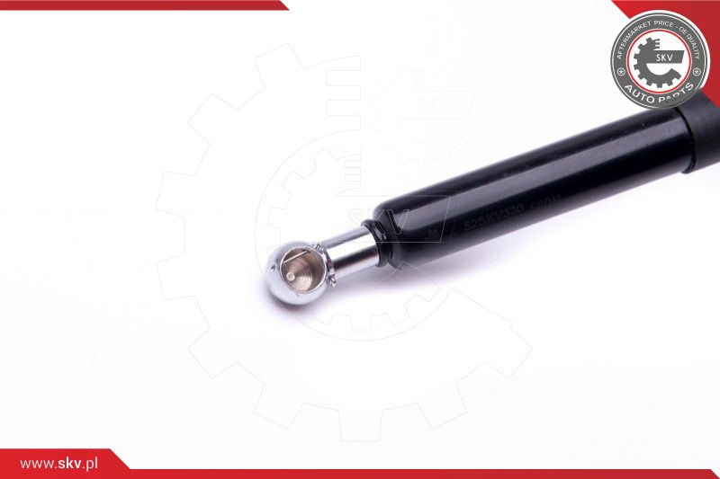 ESEN SKV Gasfeder, Koffer-/Laderaum