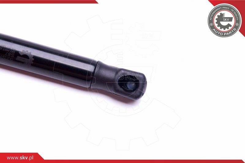 ESEN SKV Gasfeder, Koffer-/Laderaum