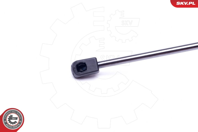 ESEN SKV Gasfeder, Koffer-/Laderaum