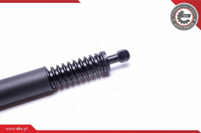 ESEN SKV Gasfeder, Koffer-/Laderaum