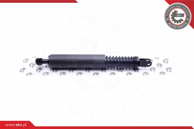 ESEN SKV Gasfeder, Koffer-/Laderaum