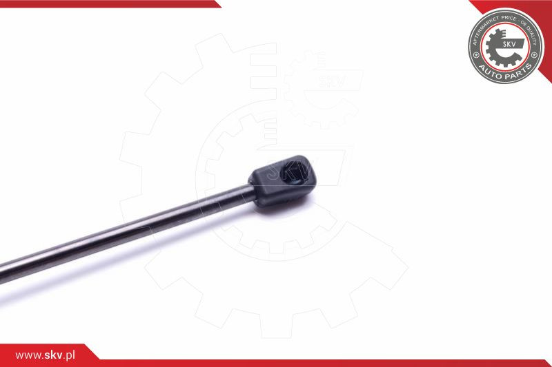 ESEN SKV Gasfeder, Koffer-/Laderaum