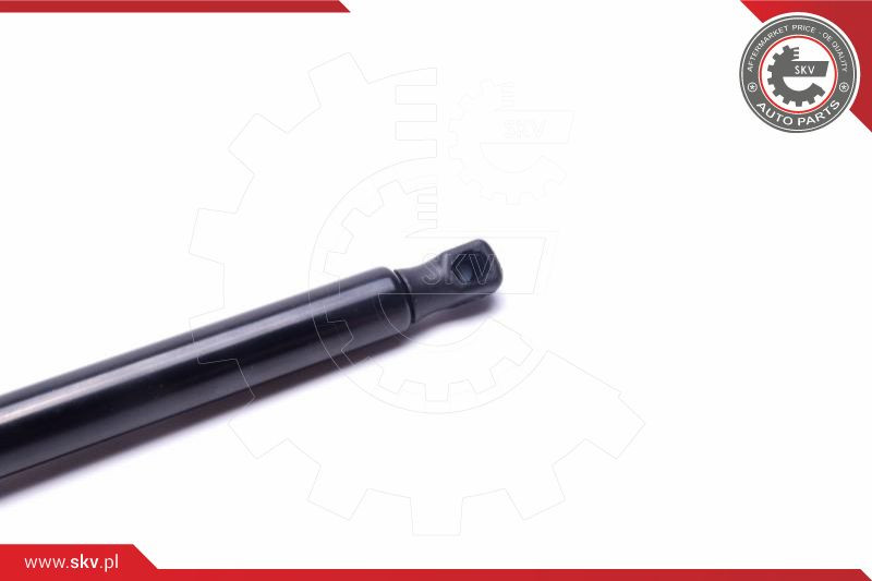 ESEN SKV Gasfeder, Koffer-/Laderaum