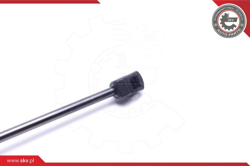 ESEN SKV Gasfeder, Koffer-/Laderaum