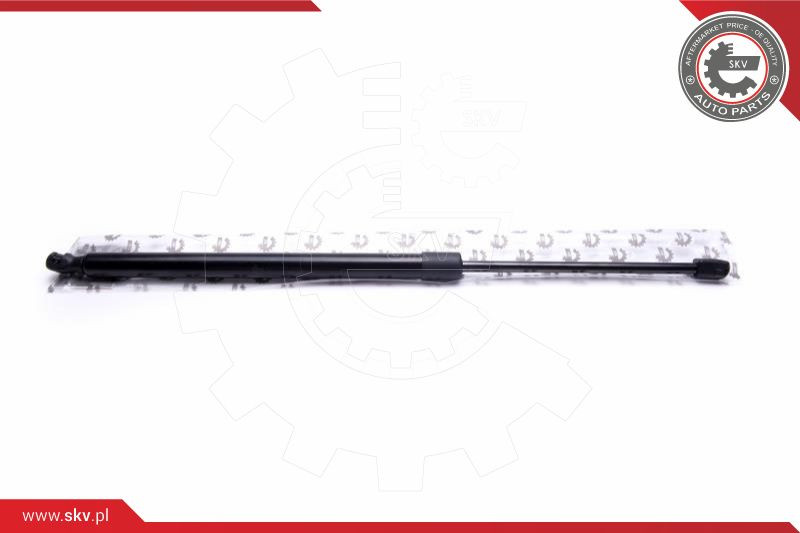 ESEN SKV Gasfeder, Koffer-/Laderaum