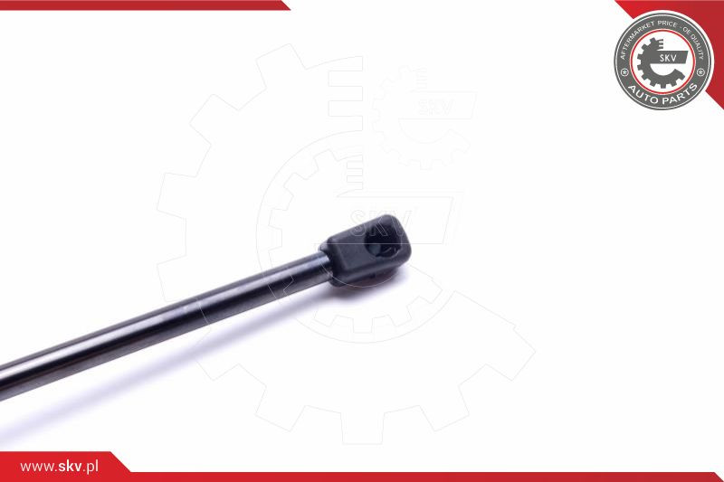 ESEN SKV Gasfeder, Koffer-/Laderaum