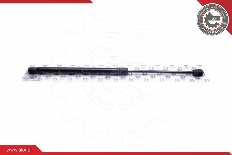 ESEN SKV Gasfeder, Koffer-/Laderaum