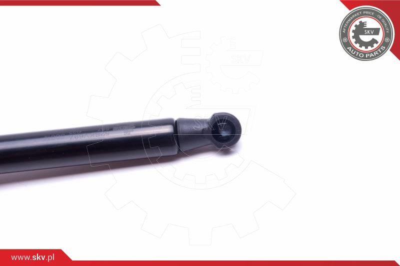 ESEN SKV Gasfeder, Koffer-/Laderaum