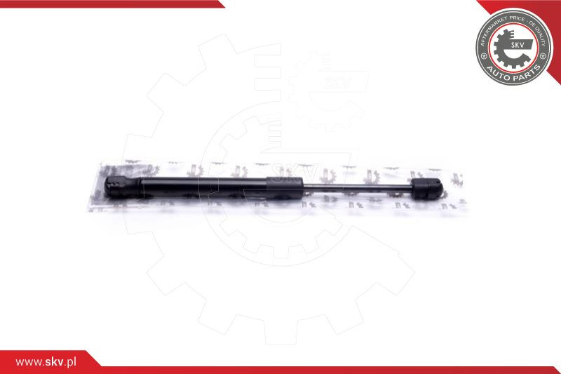 ESEN SKV Gasfeder, Koffer-/Laderaum