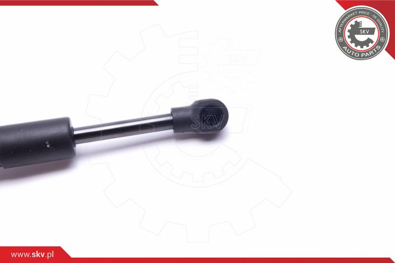 ESEN SKV Gasfeder, Fußfeststellbremse