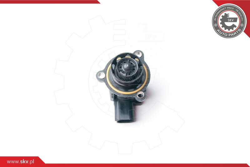 ESEN SKV Schubumluftventil, Lader