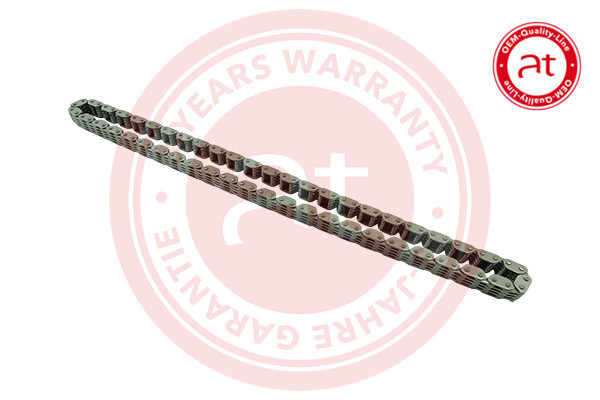 at autoteile germany Steuerkette